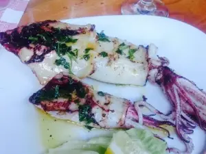 Dalmata Fine Food