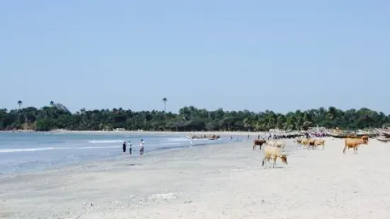 Paradise Beach Bar & Restaurant