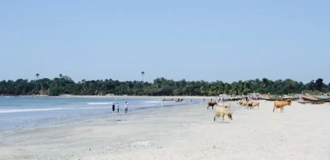 Paradise Beach Bar & Restaurant