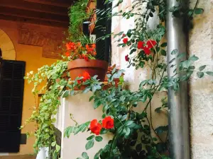 Es Portal de Tramuntana