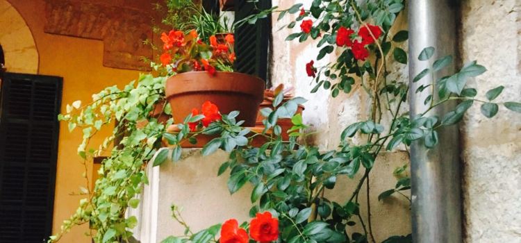 Es Portal de Tramuntana