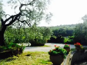 Il Giardino Degli Ulivi - Ristorante