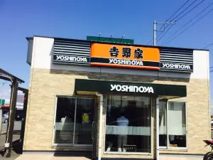 Yoshinoya Cainz Home Kisarazu