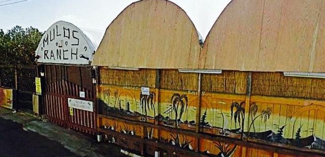 Mulo's Ranch