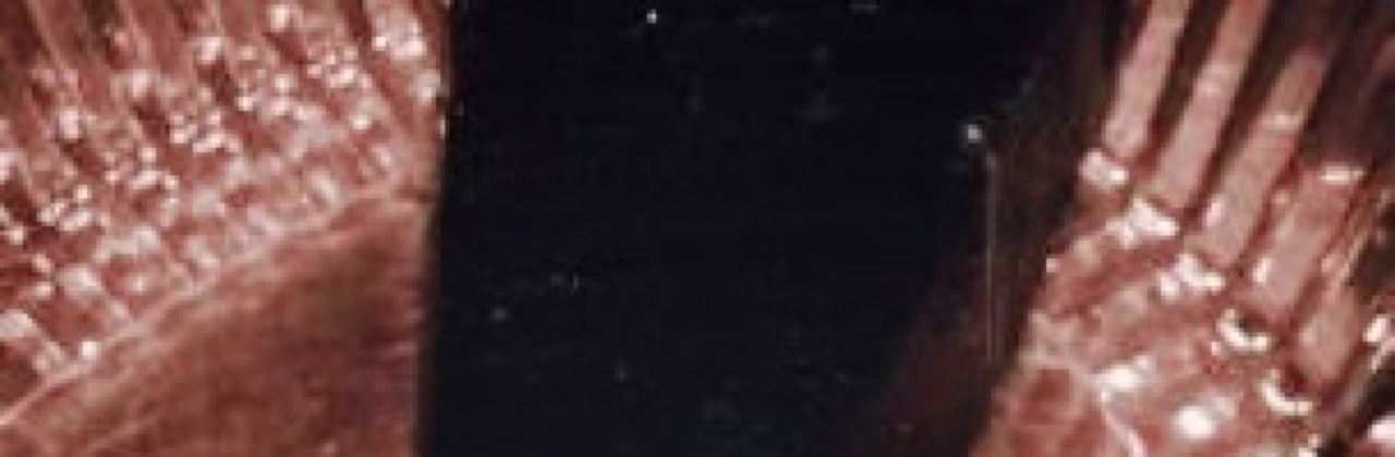 Ruffrano's Hell's Kitchen Pizza