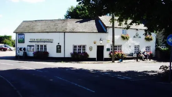 The Greyhound