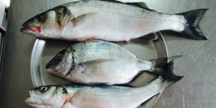 Restaurante João da Longueira
