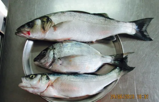 Restaurante João da Longueira