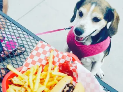 Joe's Philly Cheesesteak