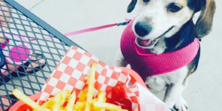 Joes Philly Cheese Steak