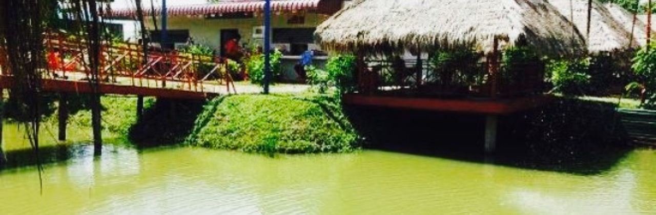 Beauty Green Lake Restaurant