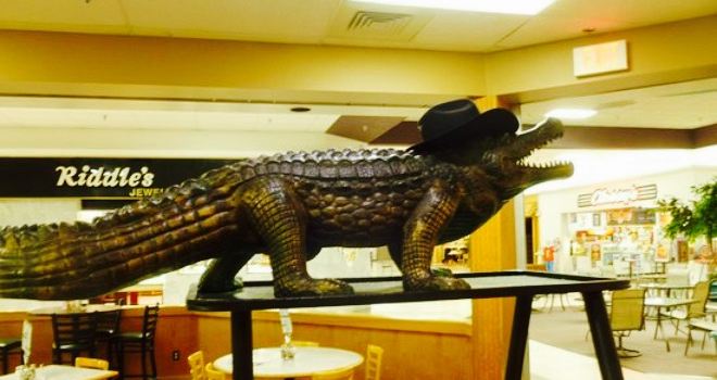 Gators Pizza
