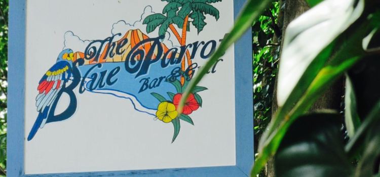 The Blue Parrot