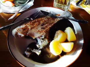 Poeler Forellen Hof