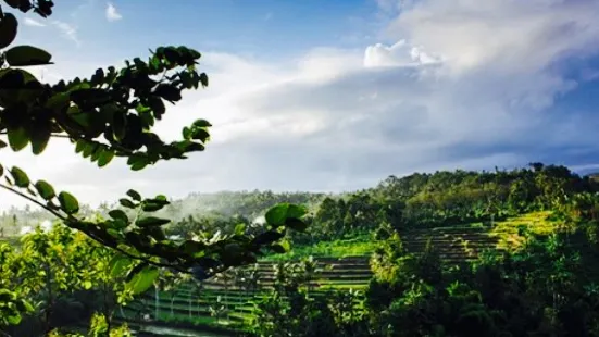 Pondok Indah Banyuwangi