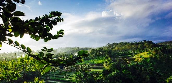Pondok Indah Banyuwangi