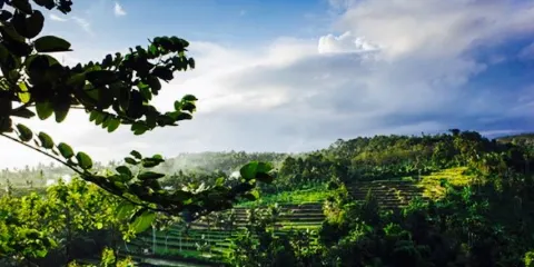 Pondok Indah Banyuwangi