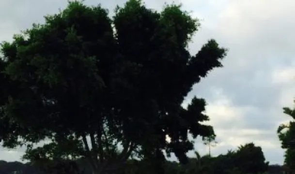 Harrigan's Irish Pub