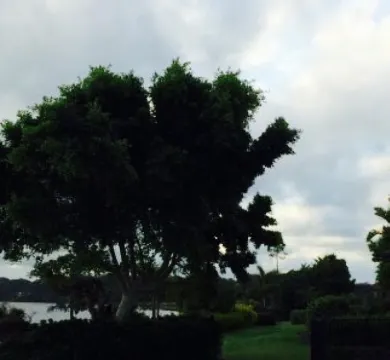 Harrigan's Irish Pub