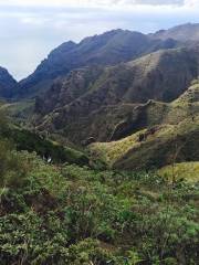 Parque Rural de Teno