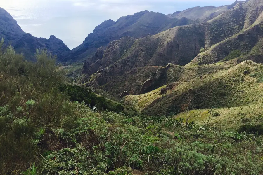 Natural Park of Teno