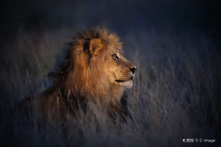 Kgalagadi North