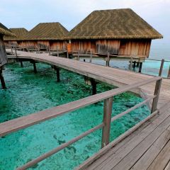 Coral Bar & Lounge User Photo