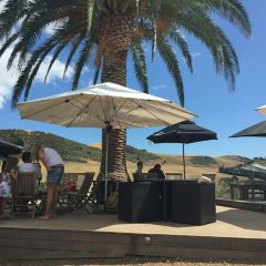 Wild on Waiheke Activities User Photo