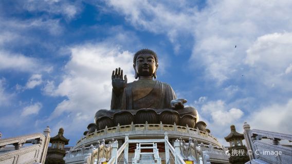 [Private tour - door-to-door pickup] Hong Kong Tian Tan Buddha + Lantau Island + Po Lin Monastery + Tai O 1-day tour