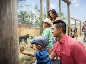 Wilder Institute/Calgary Zoo