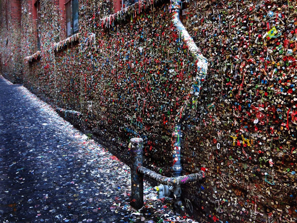 The Gum Wall Tickets [2026] - Promos, Prices, Reviews & Opening