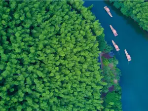 Tianmu Lake Nanshan Bamboo Sea Scenic Spot