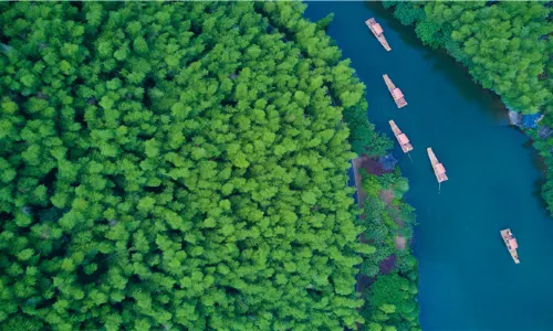 Tianmu Lake Nanshan Bamboo Sea Scenic Spot