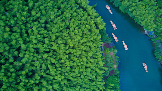 Tianmu Lake Nanshan Bamboo Sea Scenic Spot