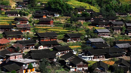 Ziquejie Terrace