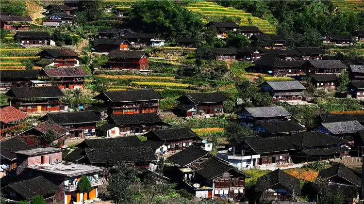 Xinhua