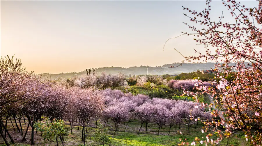 Xuancai Wanmuyuan Xiangcun Tourism Sceneic Area