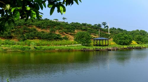 Weishui Scenic Area