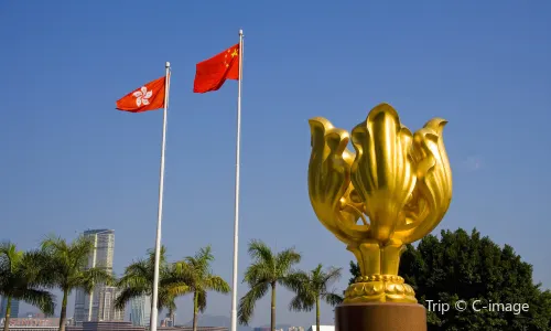 Golden Bauhinia Square