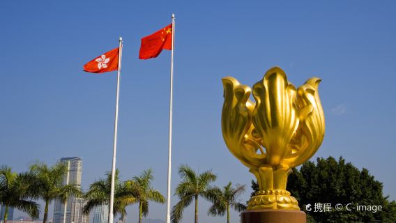 Privat grupp med hämtning i Shenzhen: Dagstur med charterbuss till Victoria Peak, Victoriahamnen och Walk of Fame i Hongkong