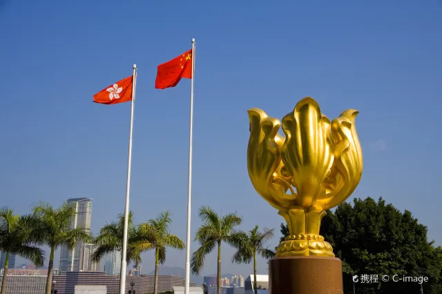 香港國慶日|灣仔金紫荊廣場舉行升旗儀式,國旗與香港區旗在廣場上飄揚,是國慶日最具代表性的官方慶祝畫面之一,每年吸引不少市民及旅客到場觀看