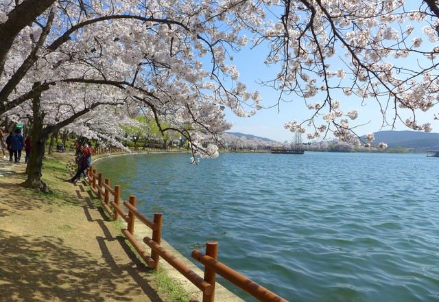 Bomun Lake Resort