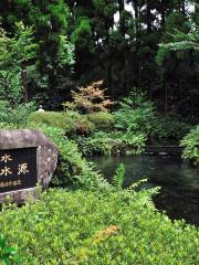 Shirakawa Spring