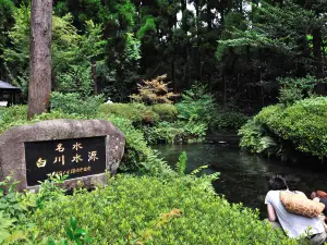 Shirakawa Spring