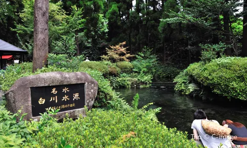 Shirakawa Spring