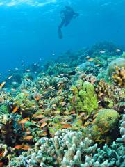 Sipadan Diving Reserve malaysia