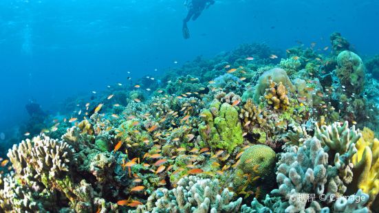 Sipadan Diving Reserve malaysia