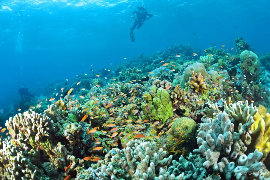 Sipadan Diving Reserve malaysia