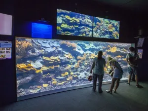 Aquarium de Paris