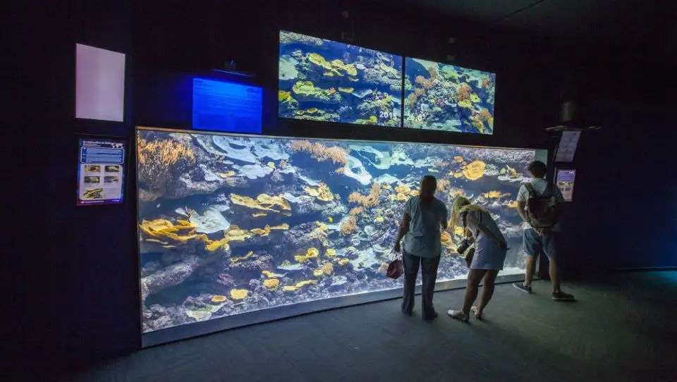 4_Aquarium de Paris